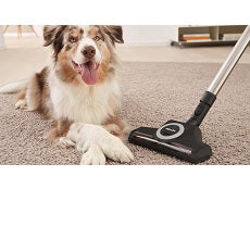 Miele Blizzard CX1 Turbo Team Canister Vacuum