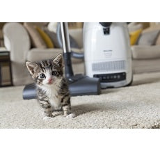 Miele Complete C3 Cat & Dog PowerLine - SGEE0 Canister Vacuum