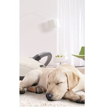 Miele Complete C3 Cat & Dog PowerLine - SGEE0 Canister Vacuum