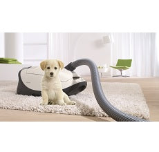Miele Complete C3 Cat & Dog PowerLine - SGEE0 Canister Vacuum